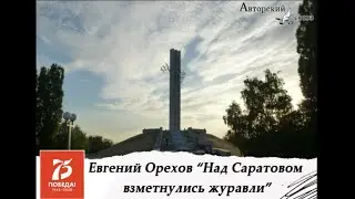 Над Саратовом взметнулись журавли