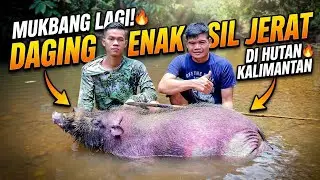 Camping and Hunting in the Kalimantan Forest, immediately check the traps, Strike 1 Baboon, immed...