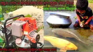প্রচুর শোল ও মাগুর মাছ ধরা হল পুকুর সেচে দিয়ে, 4 stock generator petrol engine water pump price
