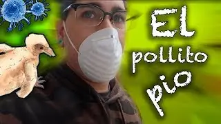 OTRO DIA MAS DE CONFINAMIENTO | LOLA OS ENSEÑA EL BEBE PALOMO | Vlog #119