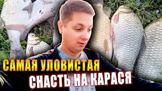 Это Вообще Законно? Карась Один За Одним !