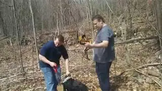 Look what we found!
