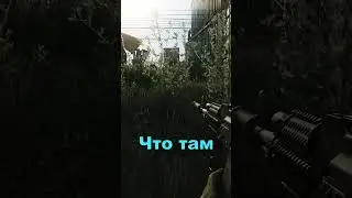 Странные звуки в Escape From Tarkov 