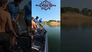 Folsom Lake Dinks on the Hunt