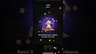 Хамстер Комбат комбо карты сегодня 1 июня! Combo Hamster Kombat