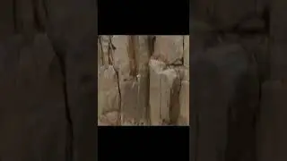 this is sad but funny #animals #animal #funny #anime #dramatic #action #movie #shorts