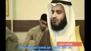 О чем плачет шейх Мишари Рашид
