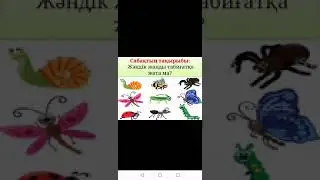 3-сынып. Жәндік жанды табиғатқа жата ма?