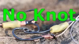 No Knot | Wallerangeln | www.zeck-fishing.com