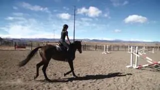 PostureWear for Centered Riding - BackJoy Reviews