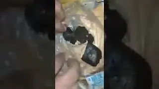 Savaş Sırasında Uyuşturucu Kullanan Ermeni Askerleri ŞOK GÖRÜNTÜLER !