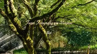 Fazer fotografia em viagem - Luz