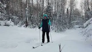 Сказочная тайга