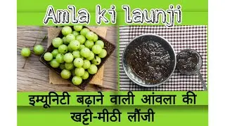 KHATTI MEETHI AMLA KI LAUNJI | खट्टी मीठी आंवला की लौंजी | SUMAN'S WORLD