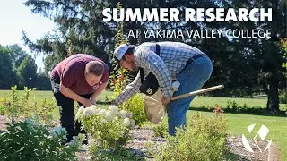 Summer Research at Yakima Valley College