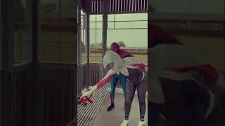 Spider Gwen & Spider-Man Vs Deadpool 
