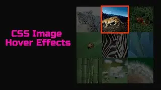 CSS Image Hover Effects 