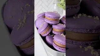 Hazelnut Macarons with Nutella Frosting #shorts #macaron