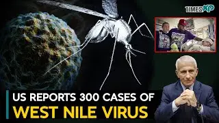 US reports nearly 300 cases of mosquito-borne West Nile virus