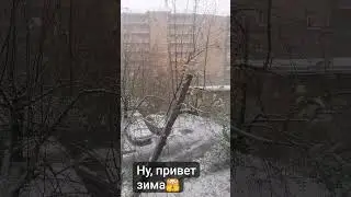 первый снег в Красноярске