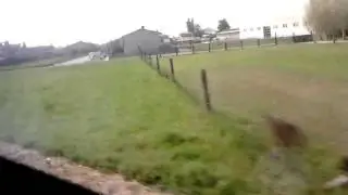 Скорость обычного поезда!