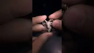 Как вам решение с глазами ? 🧐 