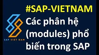 Các phân hệ (modules) phổ biến trong SAP