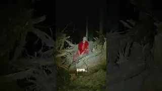 The Impossible full lyric video out now.