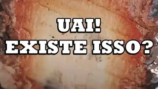BARBATIMÃO BRANCO BARBATIMÃO VERDADEIRO E BARBATIMÃO FALSO #plantasmedicinais