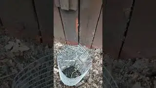 парк Адреналин