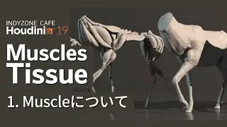INDYZONE CAFE 第18回目：Houdini19 Muscles&Tissue(Beta)の紹介 1.Muscleについて