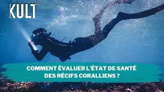 Comment évaluer l'état de santé des récifs coralliens ?