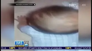 Video of Mother Violence Against Baby