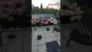 Ответ на комментарий не добрых людей.
