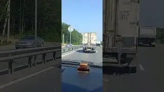О! Чудо! У него включился разум!