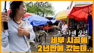 코로나때문에 도망가듯 갔던 세부 시골에 2년을 살던 곳에 다시 가봤더니... (모알보알, 삼보안, 게스트하우스 이야기)