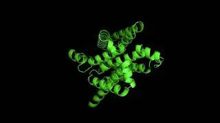 Scotty Scribbles - Protein Folding