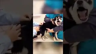 неловкие моменты 😂