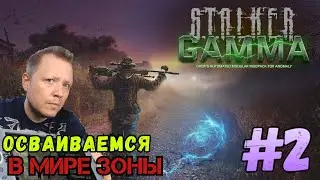 ☢️S.T.A.L.K.E.R.☢️ Anomaly GAMMA ➤ Прохождение #2