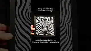 Safart Zebra - 3D Printed Depth Effect Art