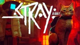 Cirmi és a Cyberpunk - Stray 🎮