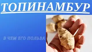 Топинамбур - Волшебная, Очень Полезная Земляная Груша