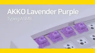 Typing ASMR│The best budget tactile switches?│AKKO Lavender Purple (Tactile)