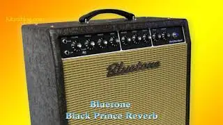 Bluetone Black Prince Reverb (2021 version) – demo song – guitar tracks only – Kitarablogi.com