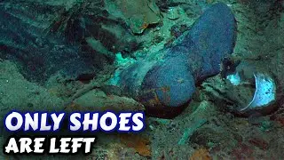 How 1160 Bodies VANISHED  From The Titanic