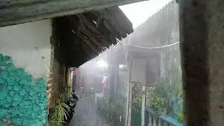 Rain and wind in the afternoon, relaxation music for rest