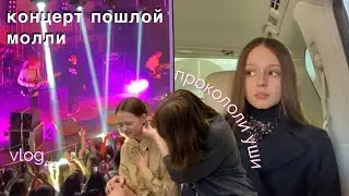 сами прокололи уши дома и пошли на концерт пм
