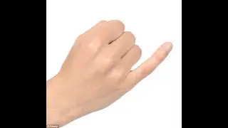 Nobody Asked YOU!
