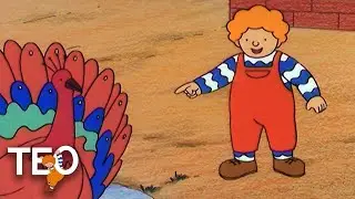 TEO | TEO Y TURQUÍA | Episodios completos para niños | Compilación