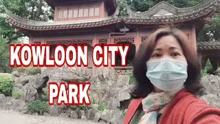 KOWLOON CITY PARK/CELYN VIDEOS